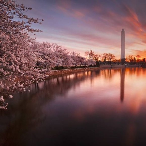 Meet your Posher, Mark - Picture 7 of 8